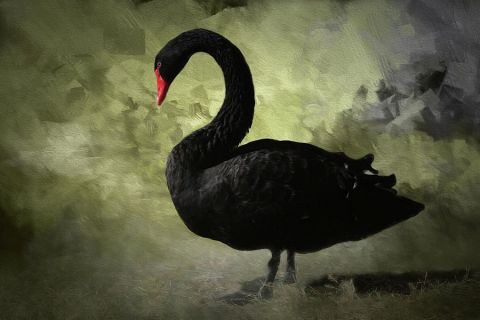 The Black Swan, by Nassim Nicholas Taleb